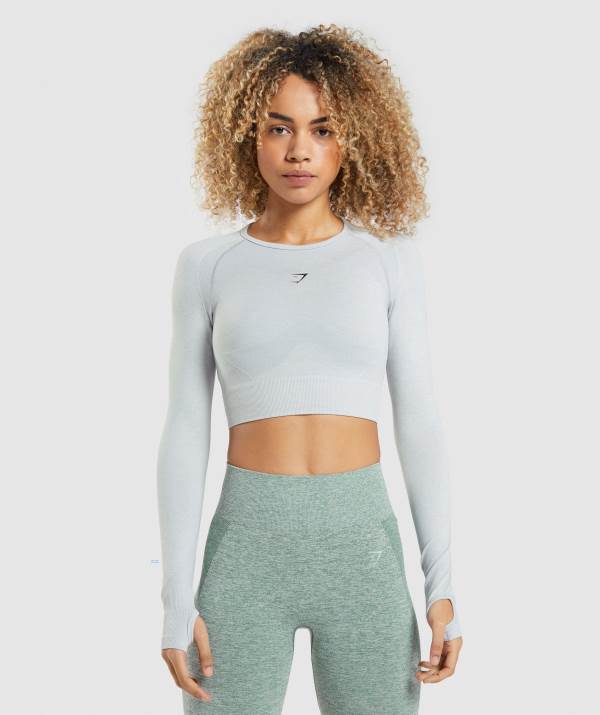 Damske Crop Top Gymshark Flex Sports Long Sleeve Svetlo Siva | TE8102935
